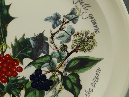 Image #14