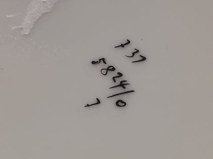 Image #11