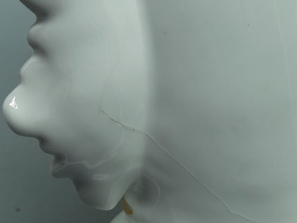 Image #10