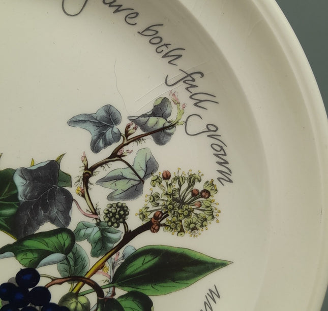 Image #13