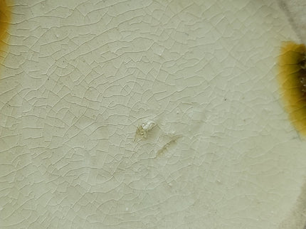 Image #9