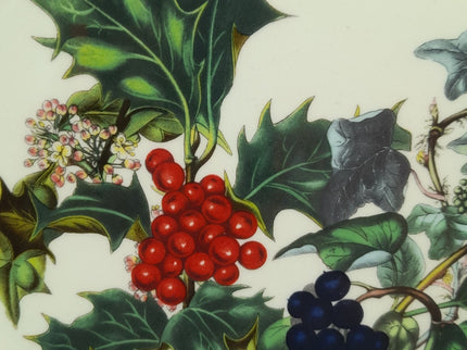 Image #12